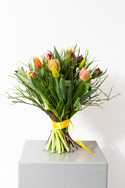 Tulpenstrauß gemischt - Blumen Grollitsch