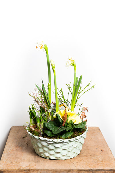 Frühlingskorb - Blumen Grollitsch